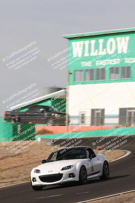 media/Nov-04-2023-Team Topak Racing (Sat) [[3ea126884b]]/Inter low 2/session 2 turn 4b/